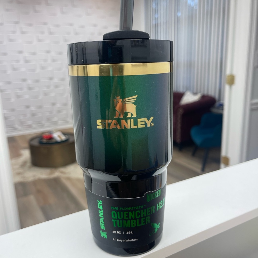 Wicked Elphaba 20oz Stanley NEW